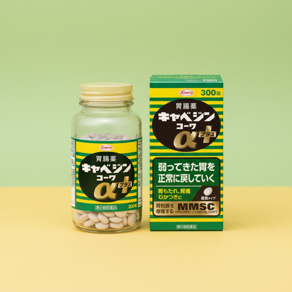 카베진스튜디오촬영