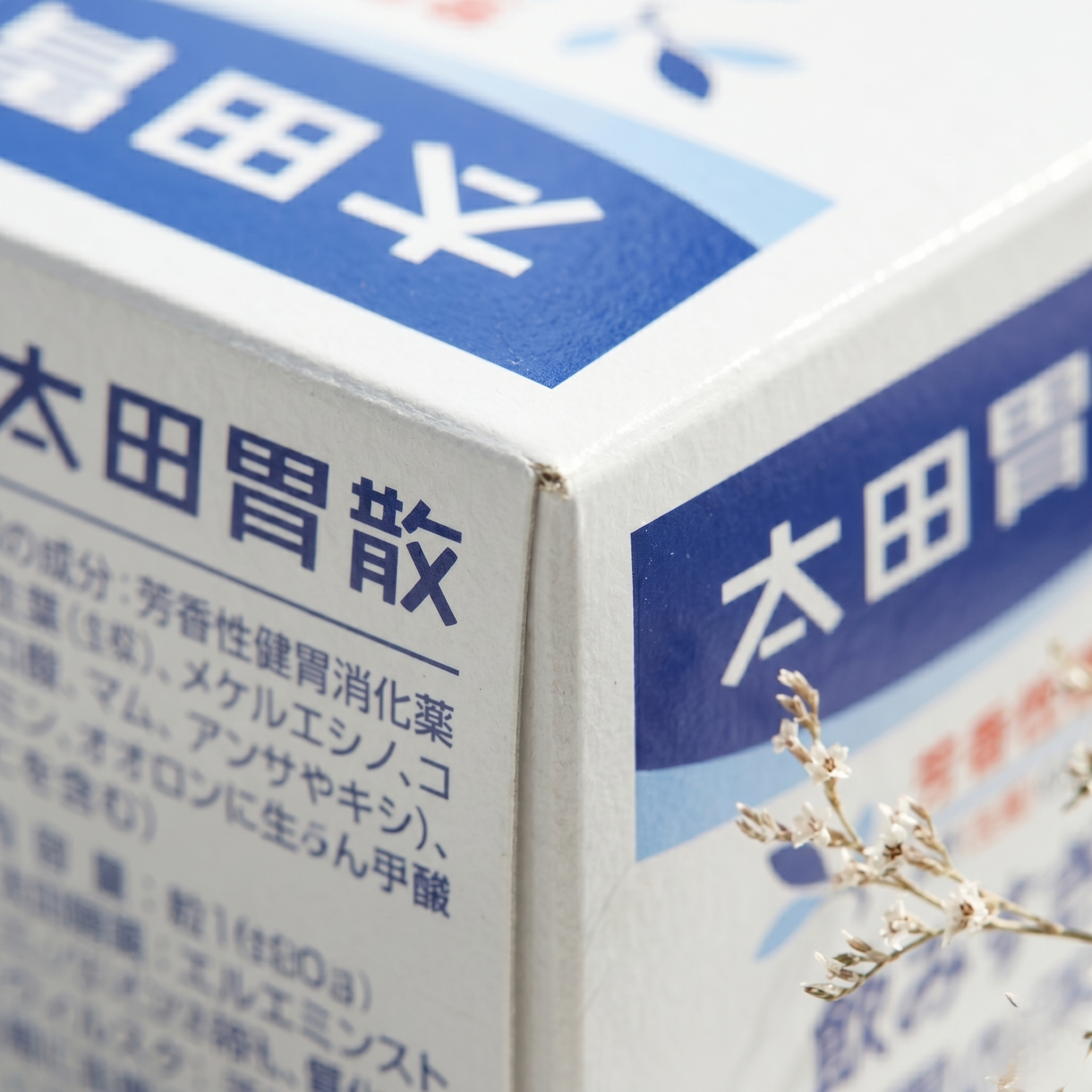 오타이산디테일샷
