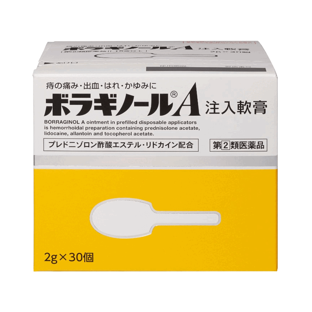 보라기놀A 치질 연고 2g 30개입