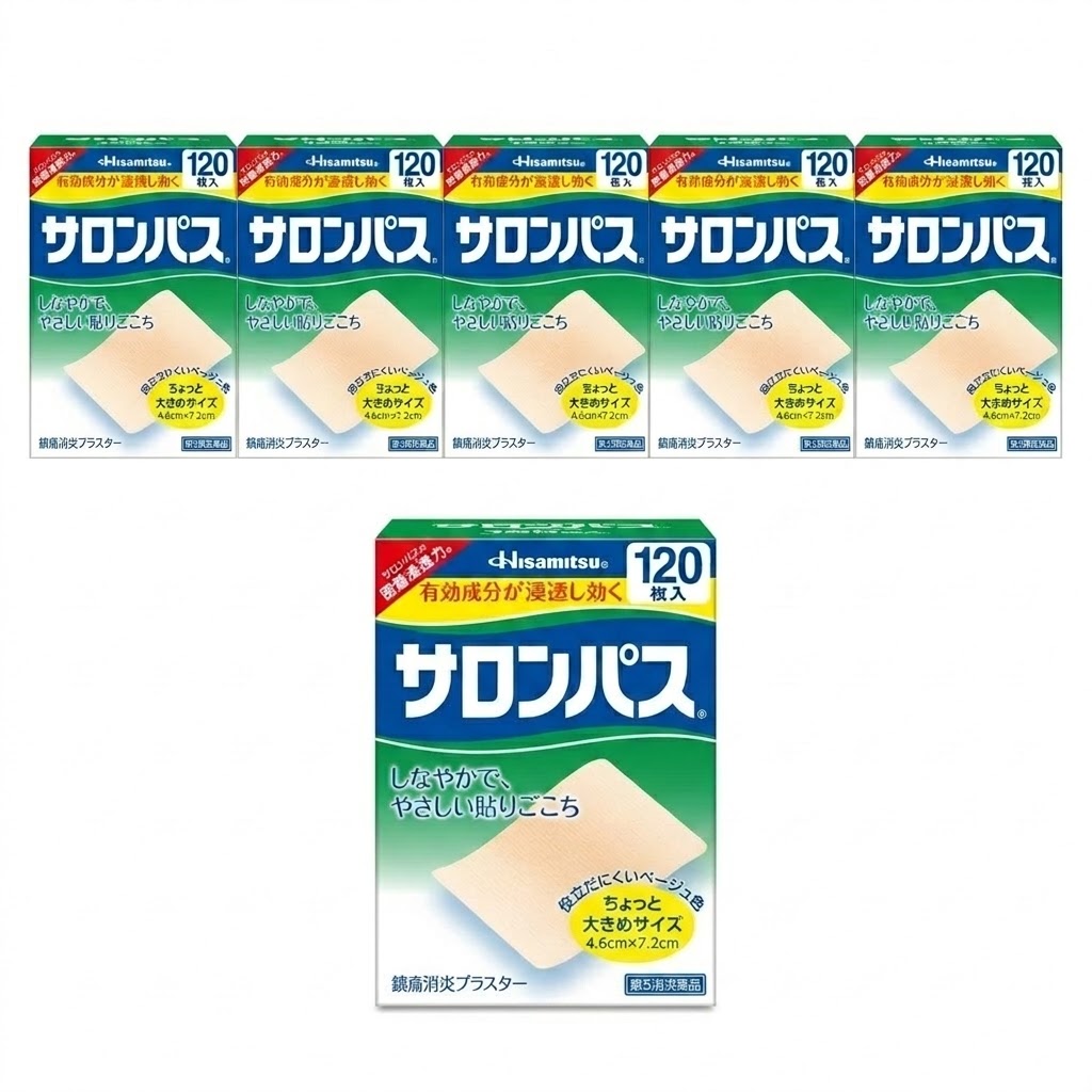 샤론파스 120매, 6개 세트