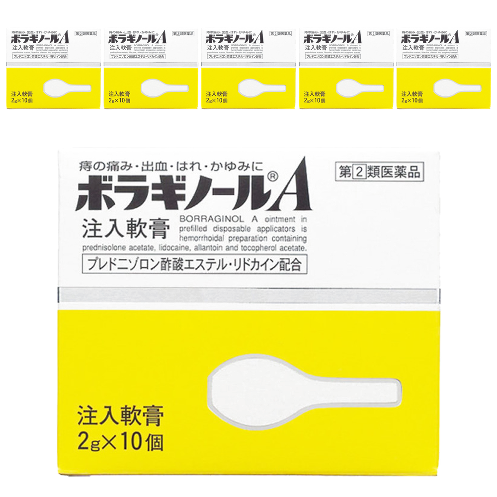 보라기놀A 치질연고 2g 10개입, 6개 세트