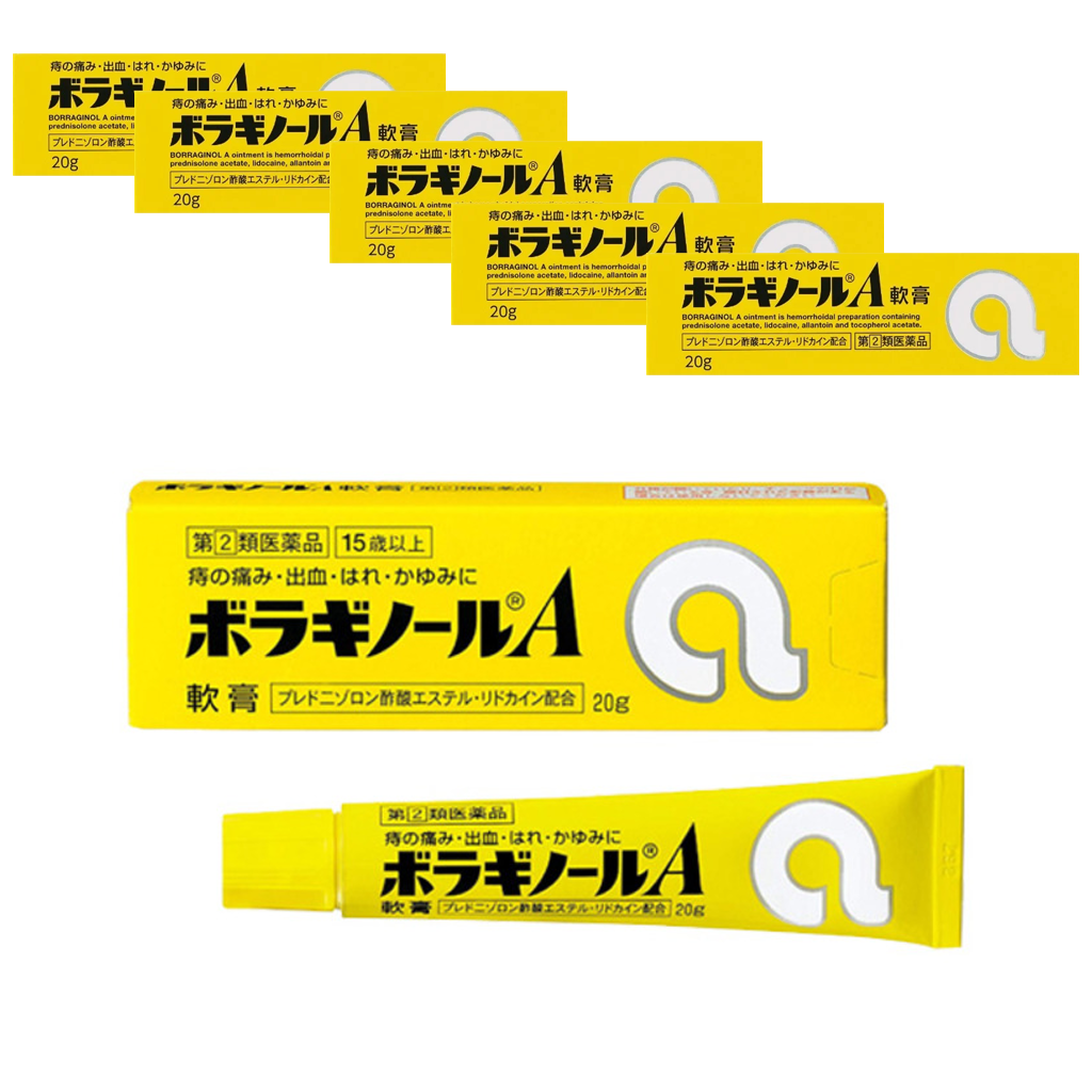 보라기놀A 치질연고 20g, 6개 세트
