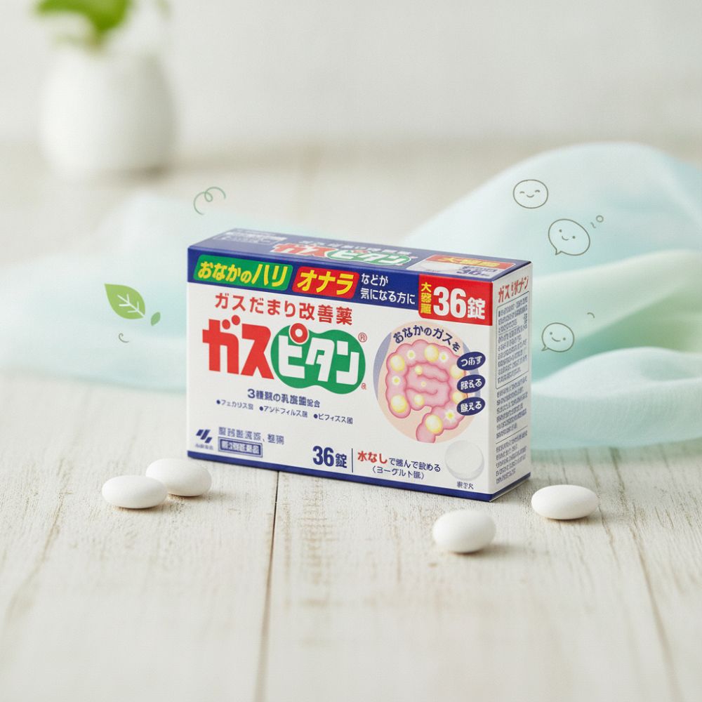 가스피탄 효과 및 복용법 핵심 원리 가이드 