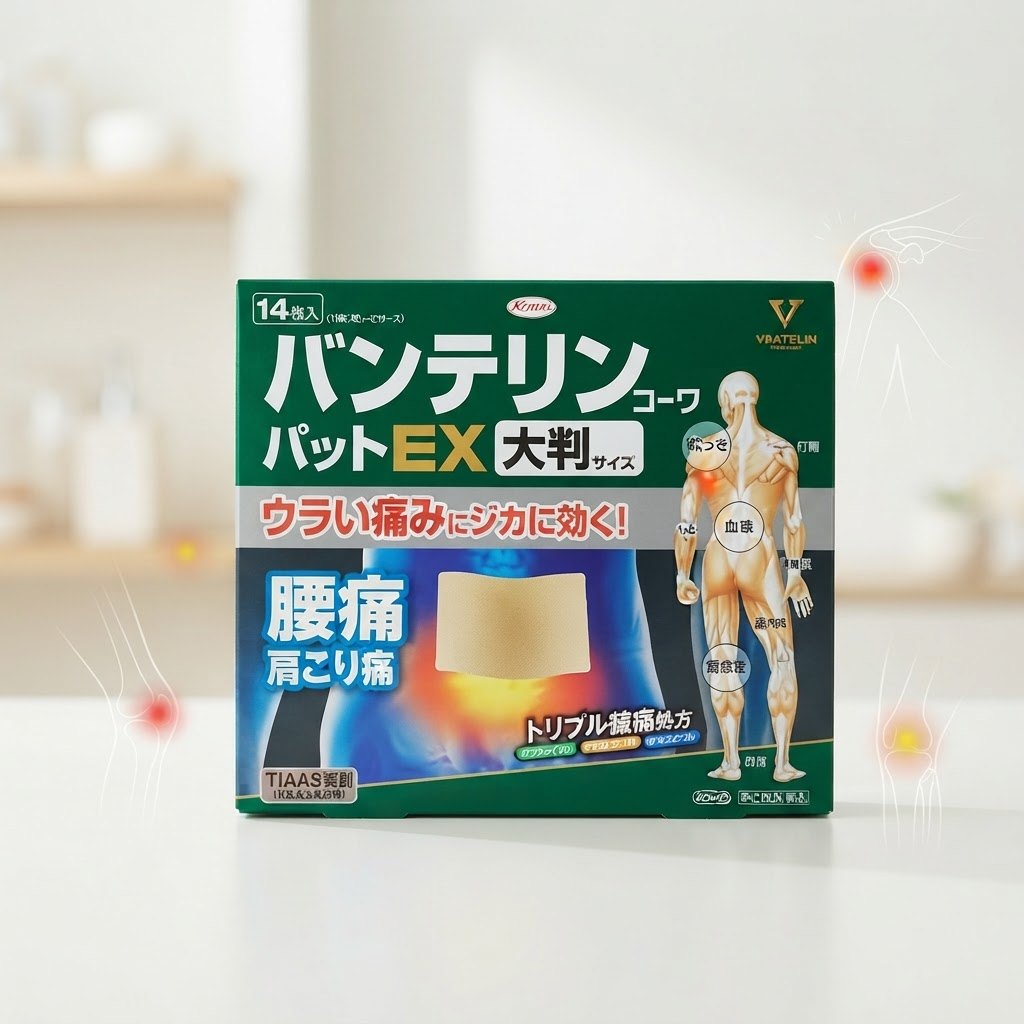 일본 반테린 파스 직구, 구매 전 꼭 알아야 할 핵심 정보